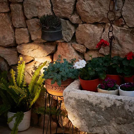 Cavtat Micika * Zvekovica