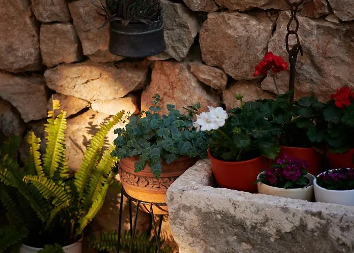 Cavtat Micika * Zvekovica